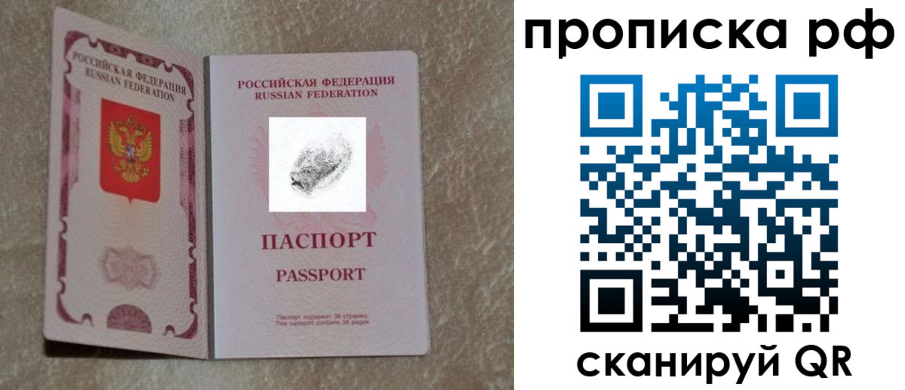прописка поиск в Реутове